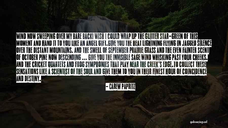 Destiny And Coincidence Quotes By Carew Papritz Destiny And Coincidence Quotes By Carew Papritz