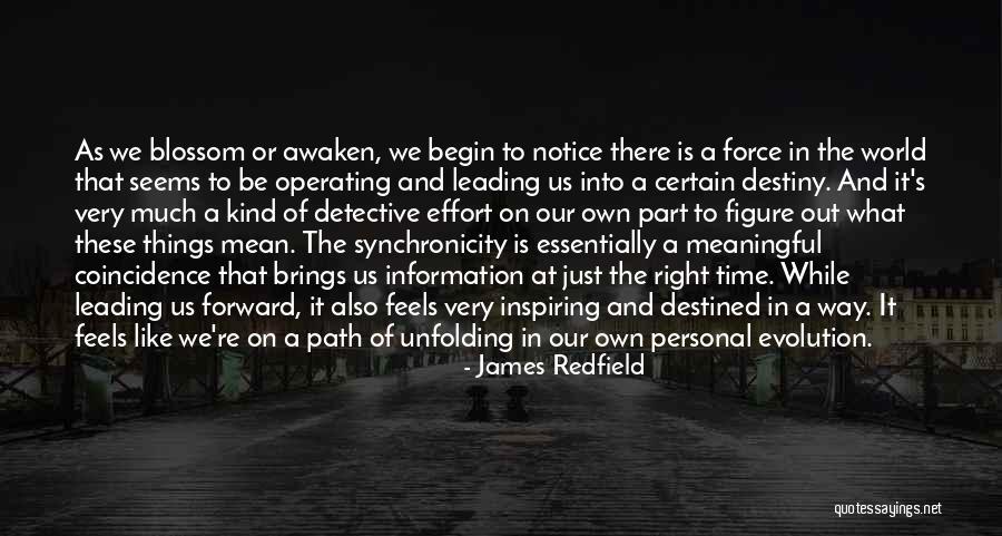 Destiny And Coincidence Quotes By James Redfield Destiny And Coincidence Quotes By James Redfield