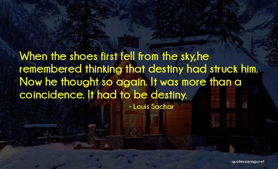 Destiny And Coincidence Quotes By Louis Sachar Destiny And Coincidence Quotes By Louis Sachar