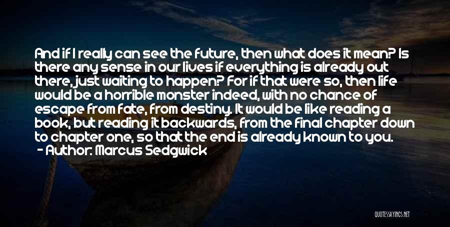 Destiny And Future Quotes By Marcus Sedgwick Destiny And Future Quotes By Marcus Sedgwick