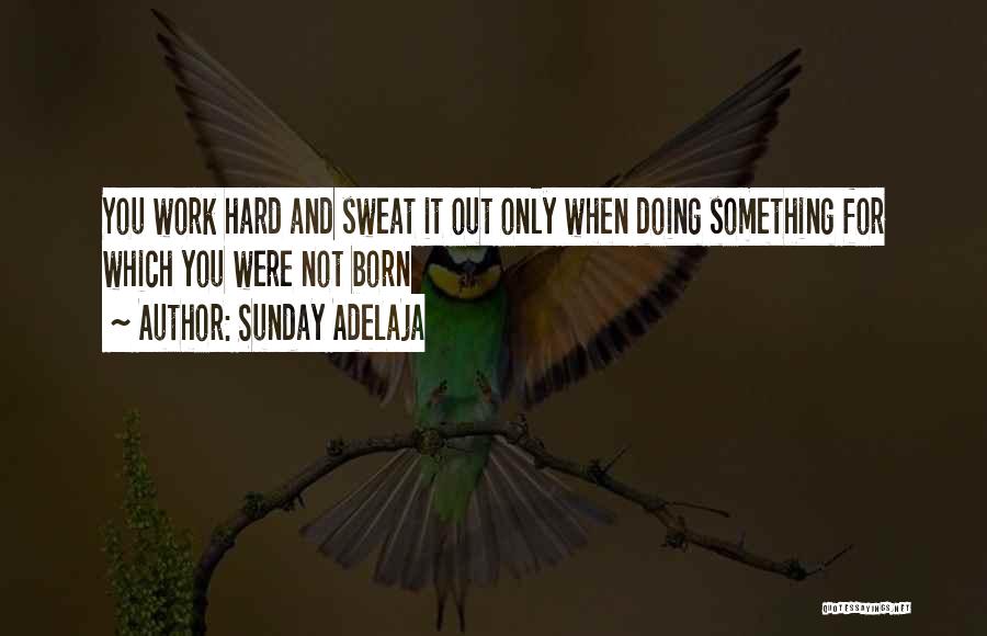 Destiny And Hard Work Quotes By Sunday Adelaja