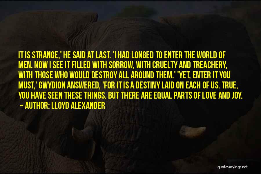 Destiny And Love Quotes By Lloyd Alexander
