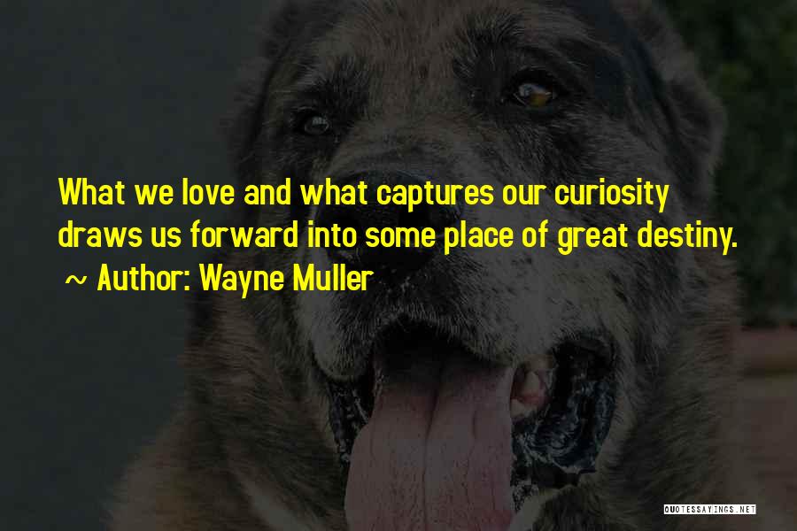 Destiny And Love Quotes By Wayne Muller