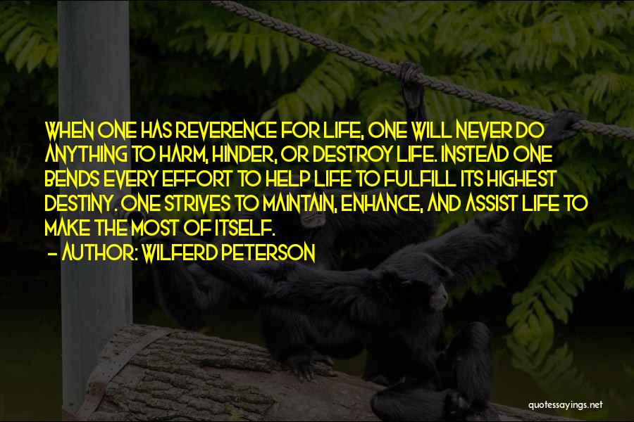 Destiny And Quotes By Wilferd Peterson