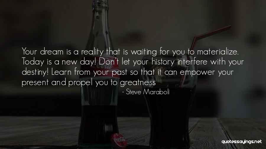 Destiny And Success Quotes By Steve Maraboli