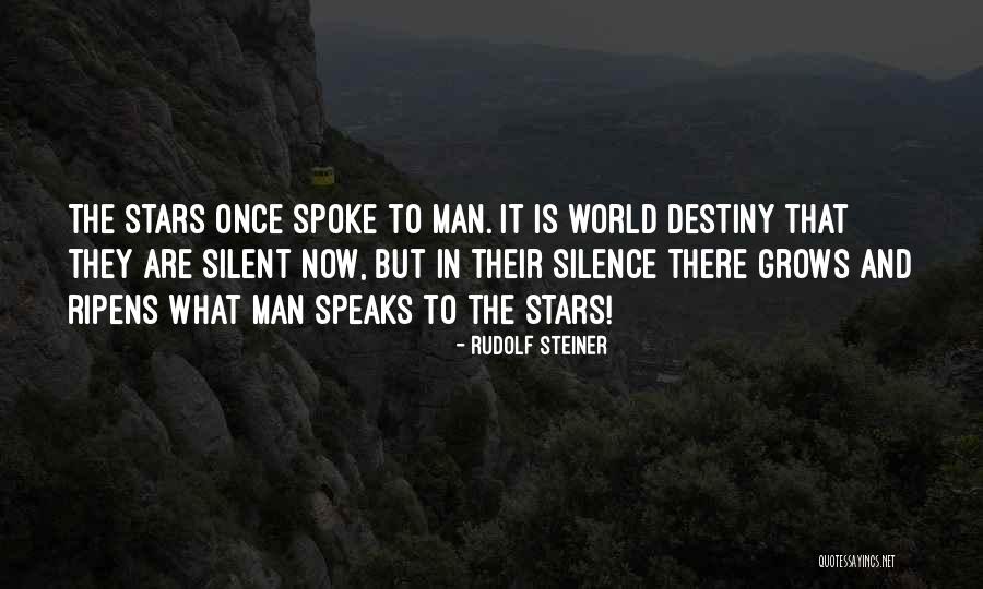 Destiny In The Stars Quotes By Rudolf Steiner Destiny In The Stars Quotes By Rudolf Steiner