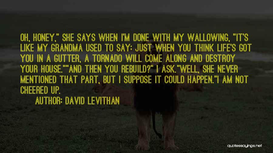 Destroy Rebuild Quotes By David Levithan