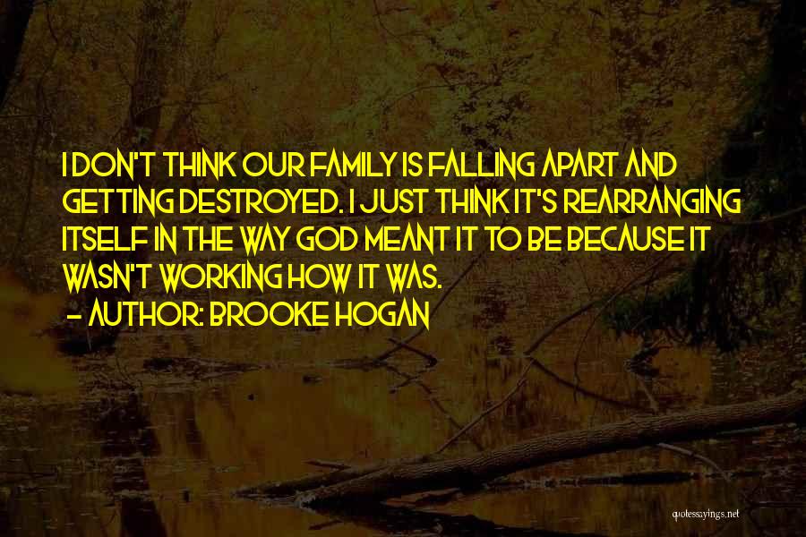 Destroyed Family Quotes By Brooke Hogan