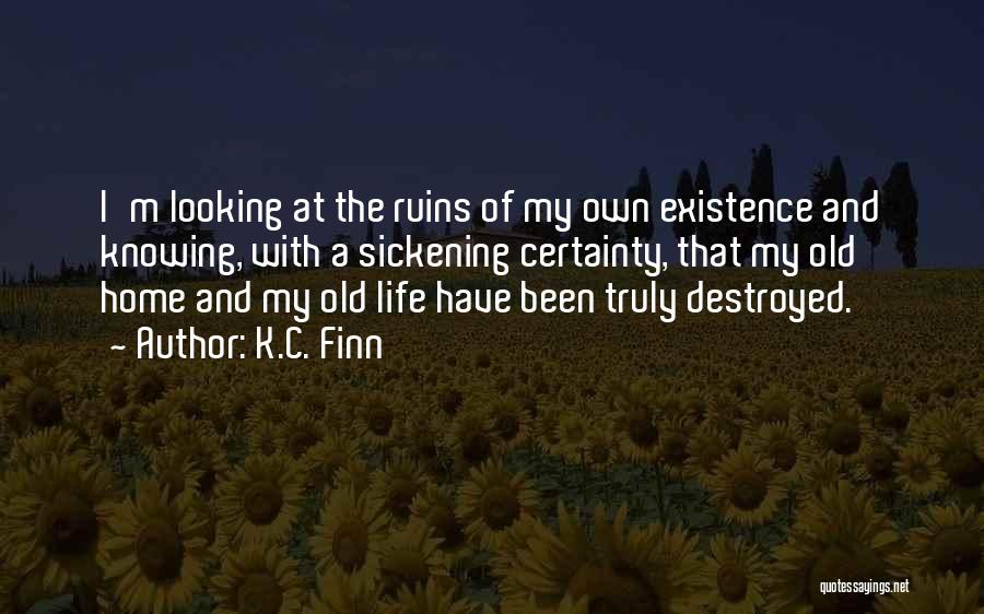 Destroyed Family Quotes By K.C. Finn