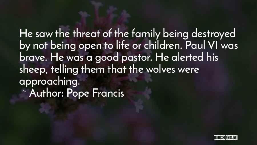 Destroyed Family Quotes By Pope Francis