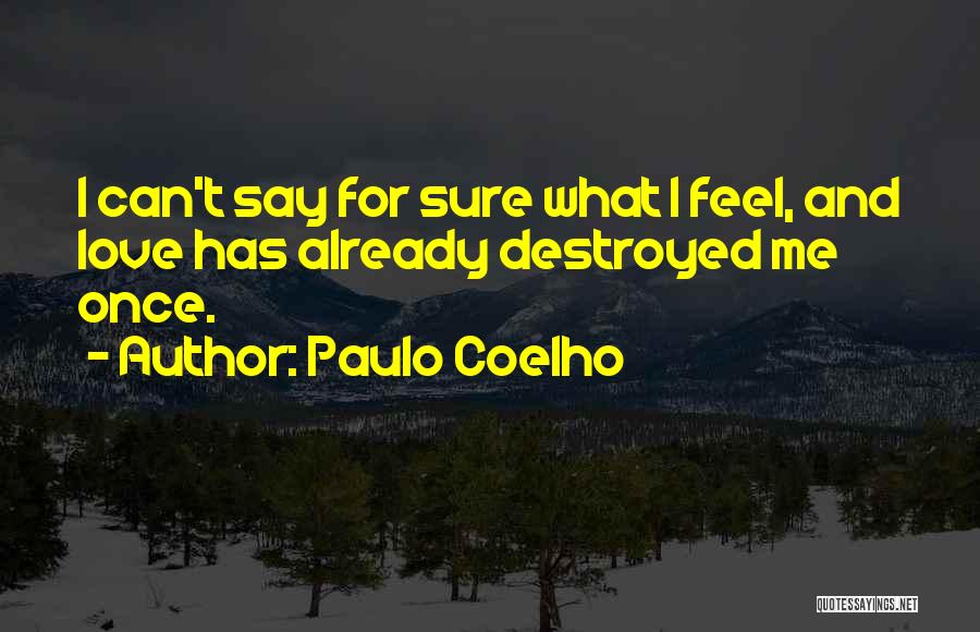 Destroyed Me Quotes By Paulo Coelho