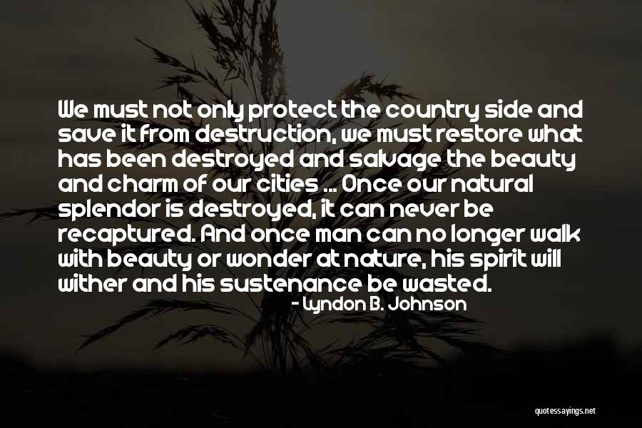 Destroyed Nature Quotes By Lyndon B. Johnson