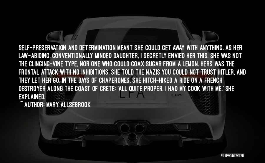 Destroyer Quotes By Mary Allsebrook