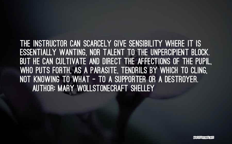 Destroyer Quotes By Mary Wollstonecraft Shelley