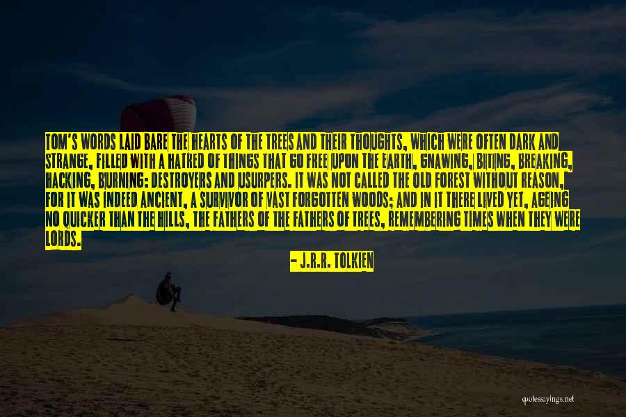 Destroyers Quotes By J.R.R. Tolkien Destroyers Quotes By J.R.R. Tolkien