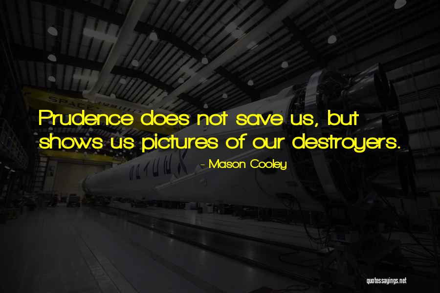 Destroyers Quotes By Mason Cooley