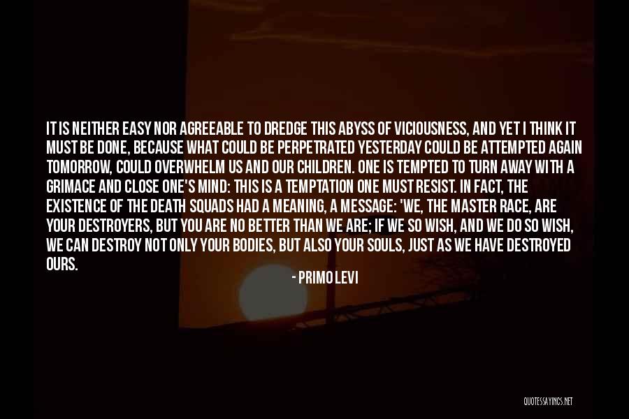 Destroyers Quotes By Primo Levi Destroyers Quotes By Primo Levi