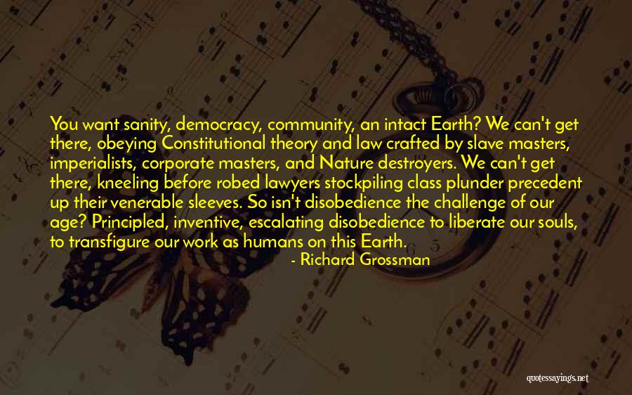 Destroyers Quotes By Richard Grossman Destroyers Quotes By Richard Grossman
