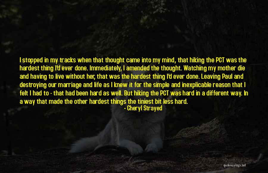 Destroying A Marriage Quotes By Cheryl Strayed Destroying A Marriage Quotes By Cheryl Strayed