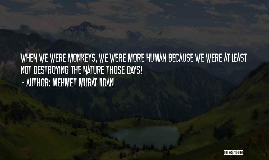 Destroying Nature Quotes By Mehmet Murat Ildan