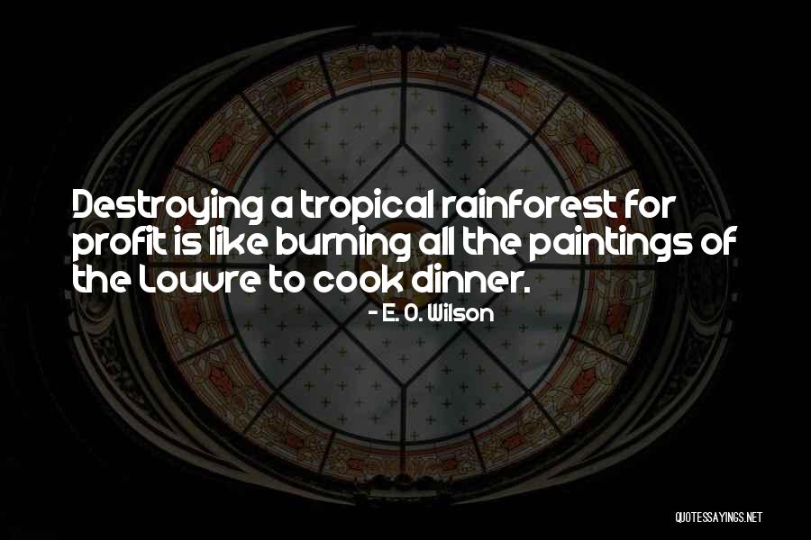 Destroying The Rainforest Quotes By E. O. Wilson