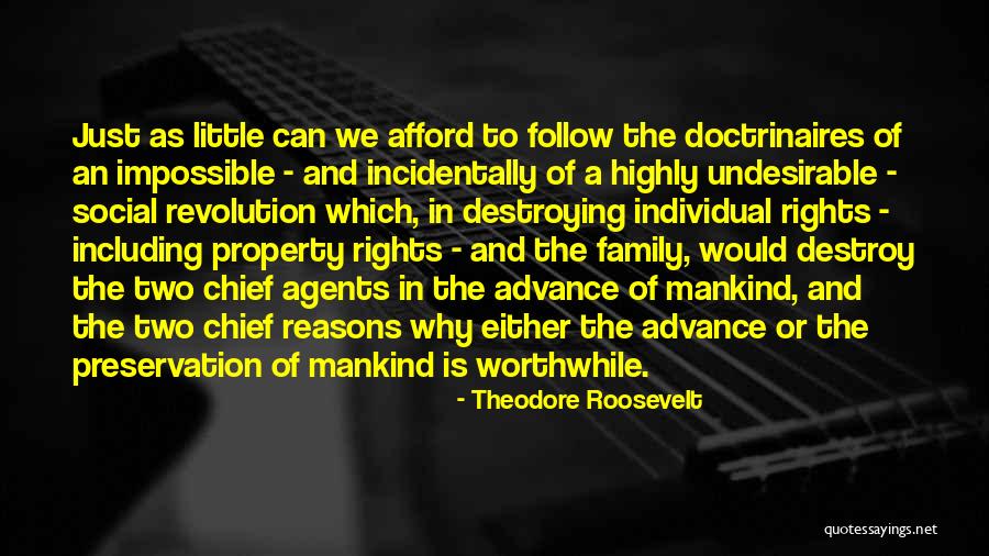 Destroying Your Family Quotes By Theodore Roosevelt Destroying Your Family Quotes By Theodore Roosevelt