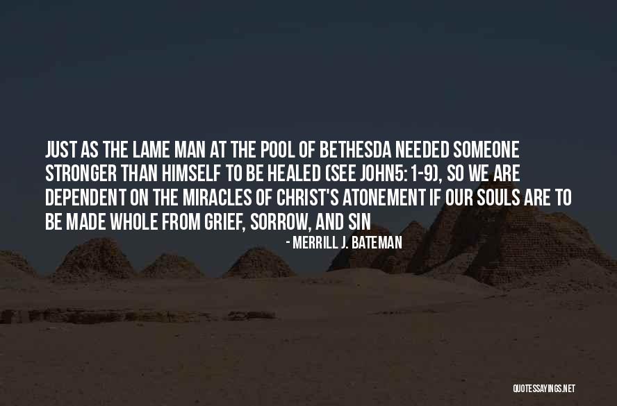 Destructibility Quotes By Merrill J. Bateman Destructibility Quotes By Merrill J. Bateman