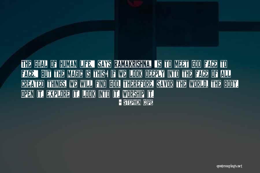 Destructibility Quotes By Stephen Cope Destructibility Quotes By Stephen Cope