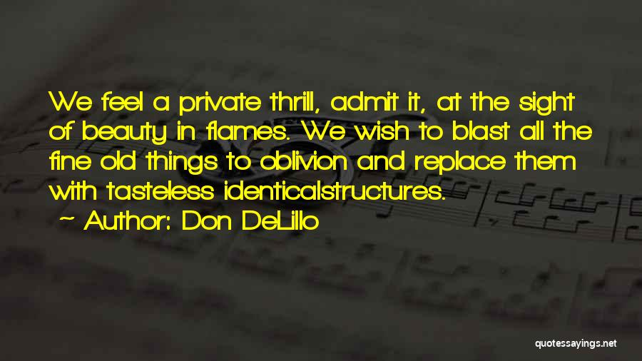 Destruction And Beauty Quotes By Don DeLillo
