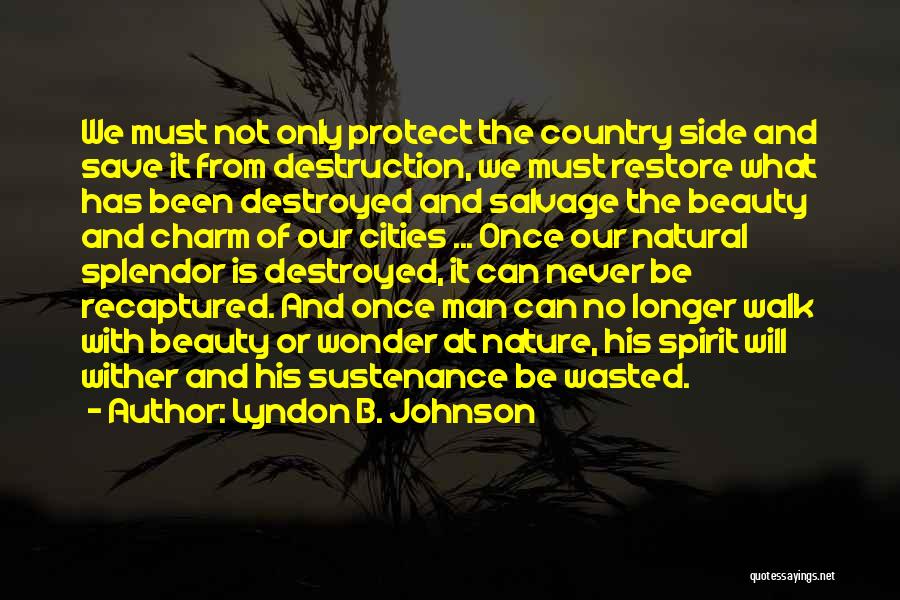 Destruction And Beauty Quotes By Lyndon B. Johnson