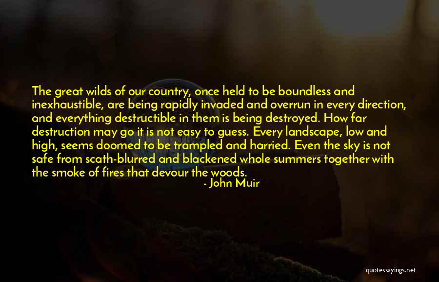 Destruction Of Country Quotes By John Muir