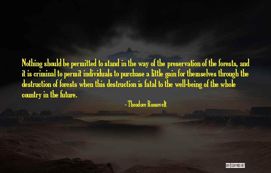 Destruction Of Country Quotes By Theodore Roosevelt