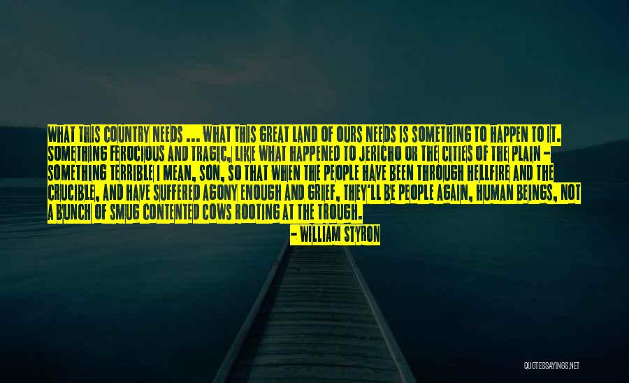 Destruction Of Country Quotes By William Styron