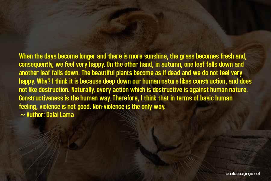 Destruction Of Nature Quotes By Dalai Lama