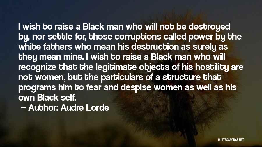 Destruction Of Power Quotes By Audre Lorde