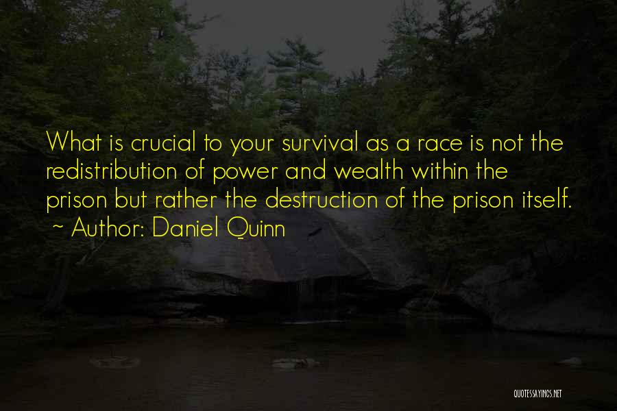 Destruction Of Power Quotes By Daniel Quinn