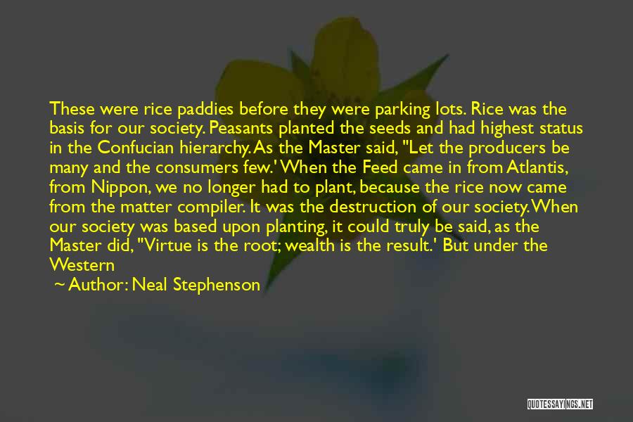 Destruction Of Society Quotes By Neal Stephenson