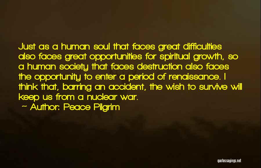 Destruction Of Society Quotes By Peace Pilgrim