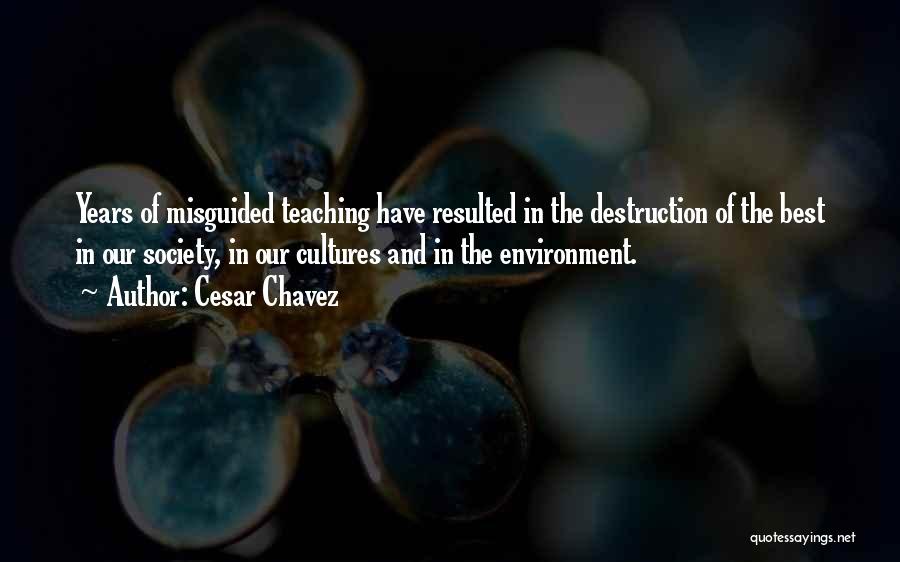 Destruction Of The Environment Quotes By Cesar Chavez