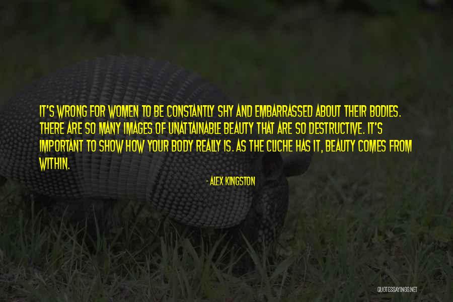 Destructive Beauty Quotes By Alex Kingston Destructive Beauty Quotes By Alex Kingston