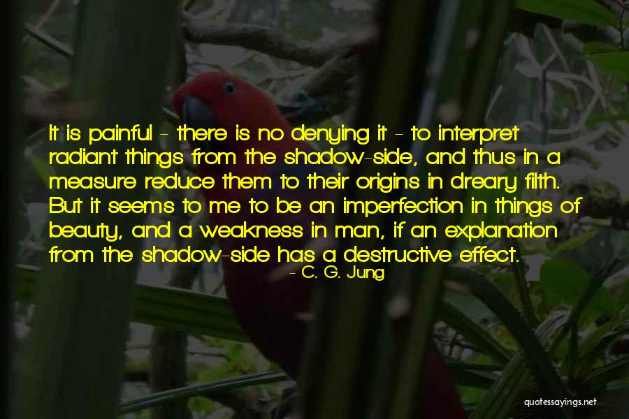 Destructive Beauty Quotes By C. G. Jung Destructive Beauty Quotes By C. G. Jung