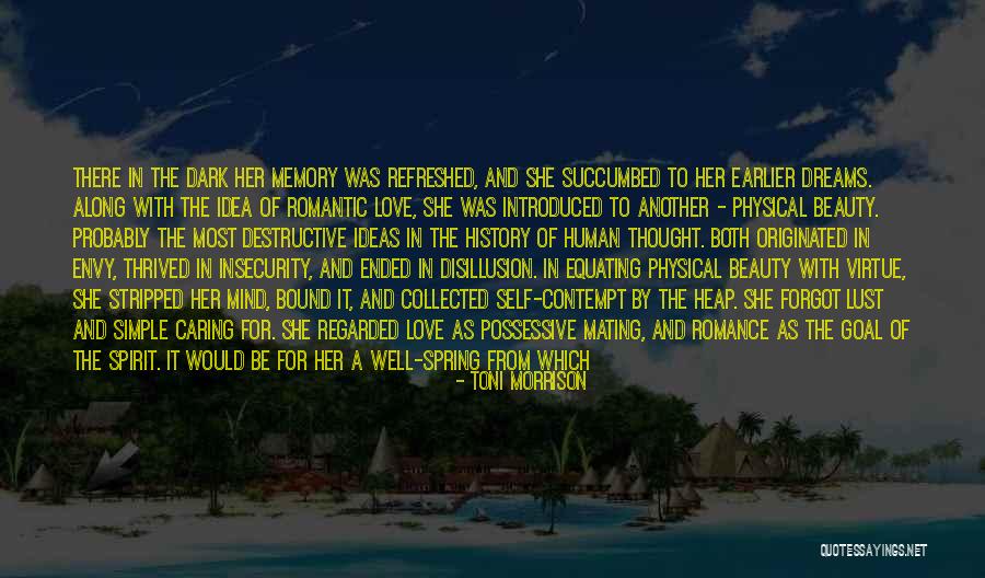 Destructive Beauty Quotes By Toni Morrison Destructive Beauty Quotes By Toni Morrison