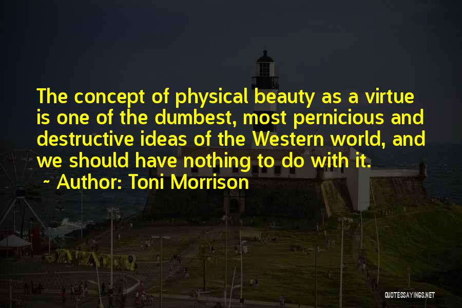 Destructive Beauty Quotes By Toni Morrison
