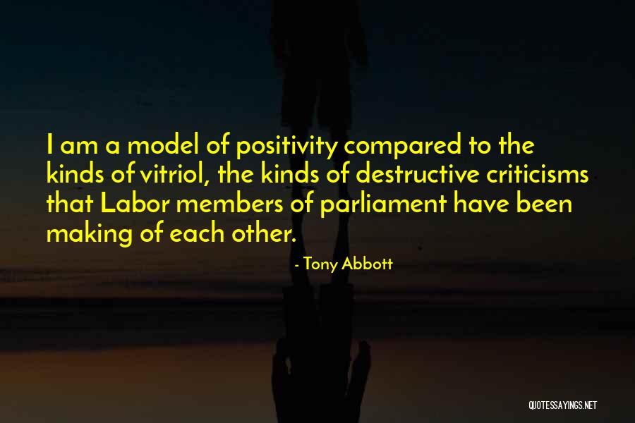 Destructive Criticism Quotes By Tony Abbott