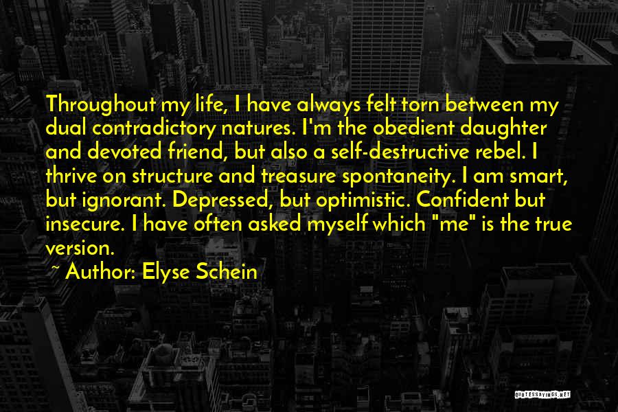 Destructive Life Quotes By Elyse Schein