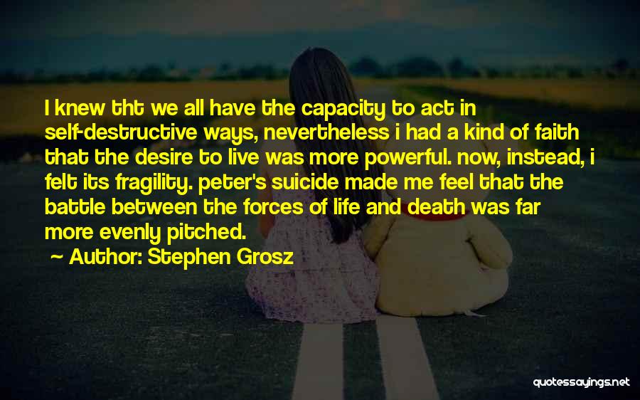 Destructive Life Quotes By Stephen Grosz