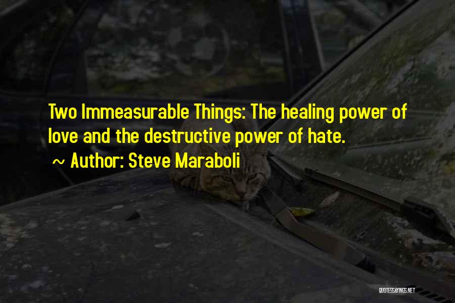 Destructive Life Quotes By Steve Maraboli