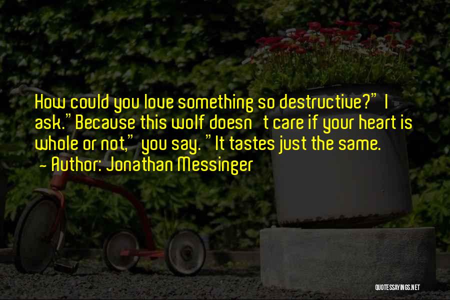 Destructive Love Quotes By Jonathan Messinger