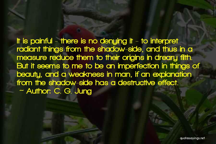 Destructive Man Quotes By C. G. Jung