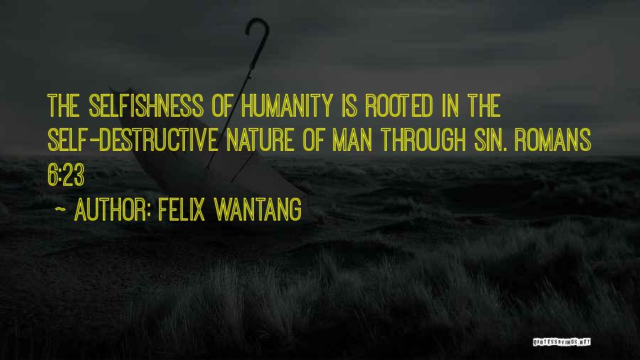 Destructive Man Quotes By Felix Wantang